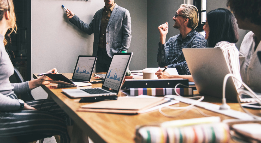 5. Size and Extent: Does it suit the size of your business and website?